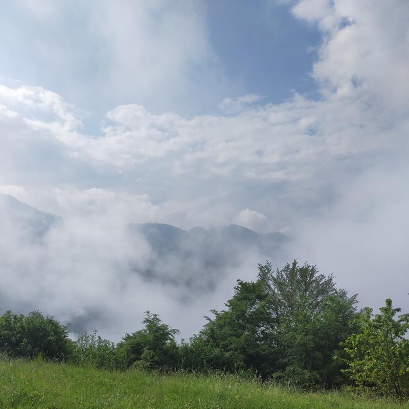Fotosegnalazione di Praso