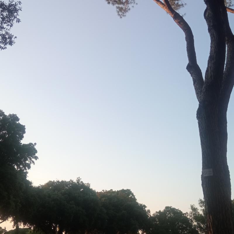 Fotosegnalazione di Grosseto nord-est