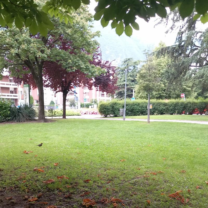 Fotosegnalazione di Trento centro