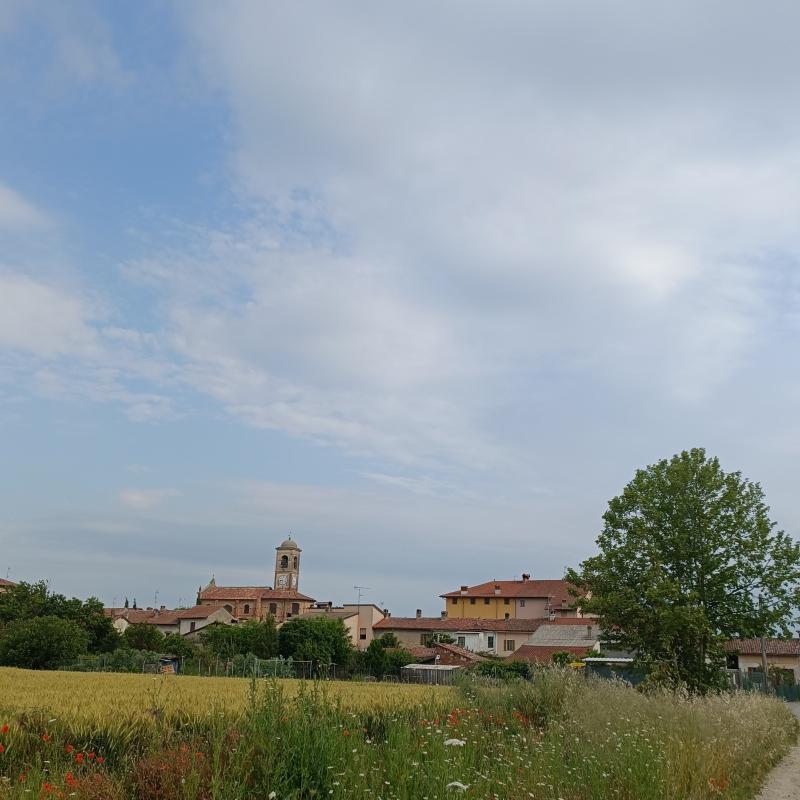 Fotosegnalazione di Gambarana