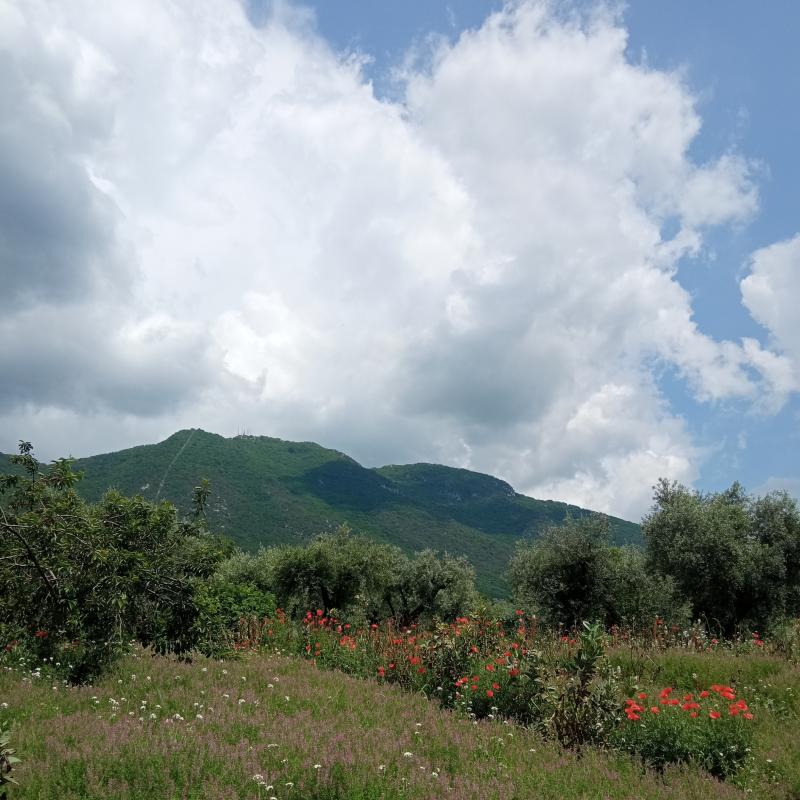 Fotosegnalazione di Palombara sabina