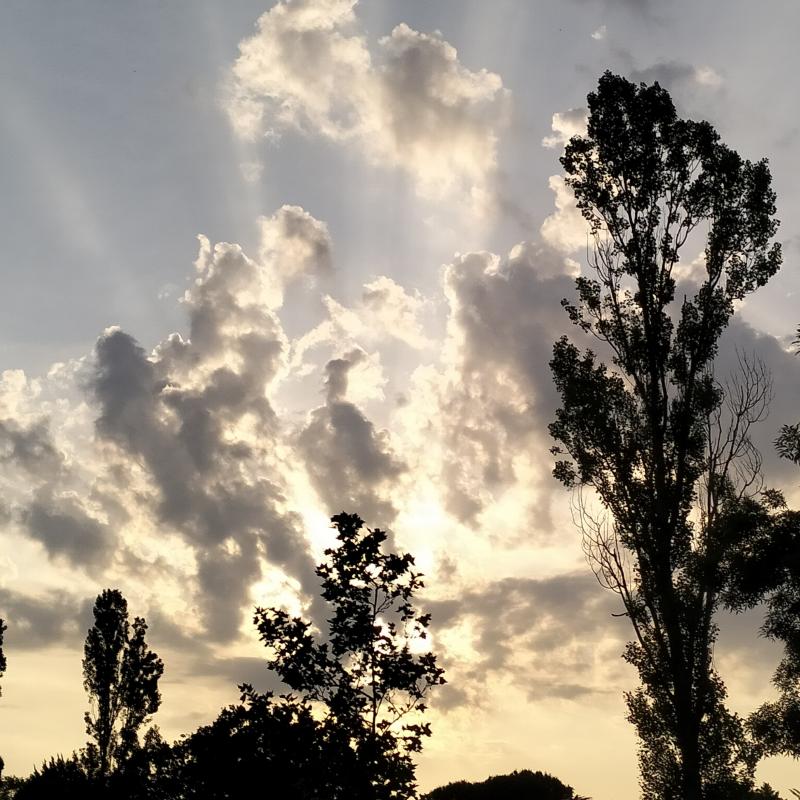 Fotosegnalazione di Forli' centro