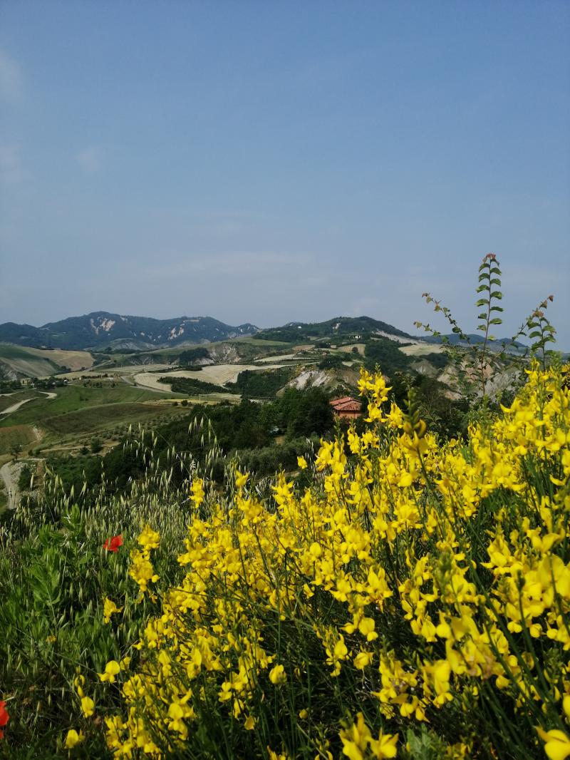 le colline di Castel San Pietro Terme te