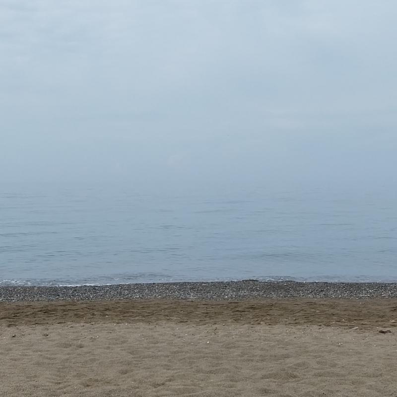 Fotosegnalazione di Castagneto carducci
