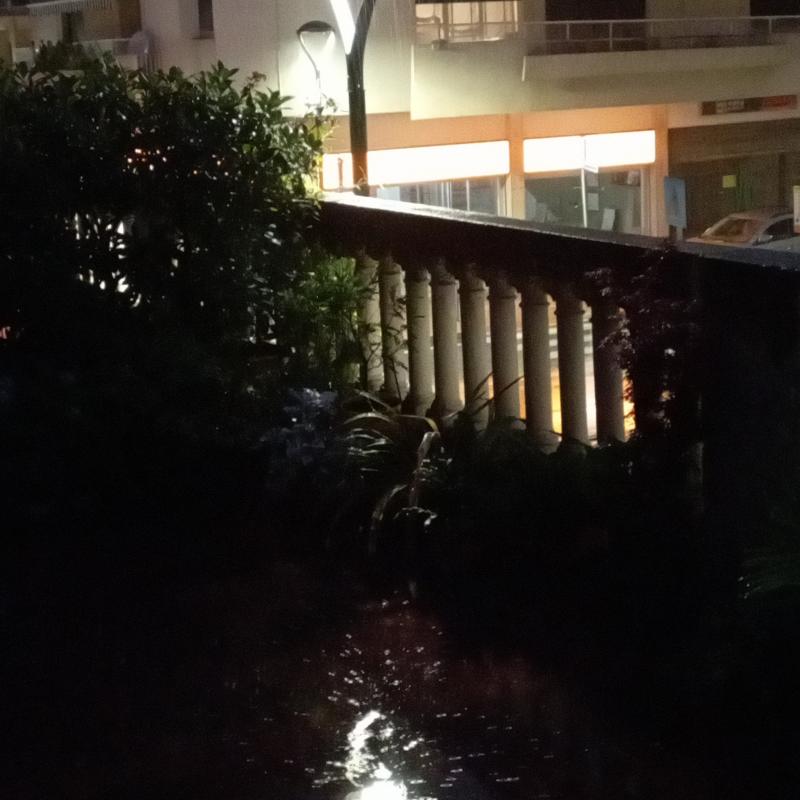 Fotosegnalazione di Mestre