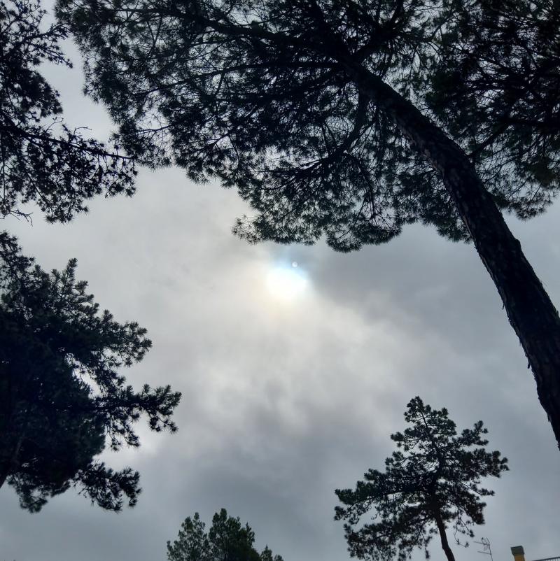 Fotosegnalazione Lignano Pineta