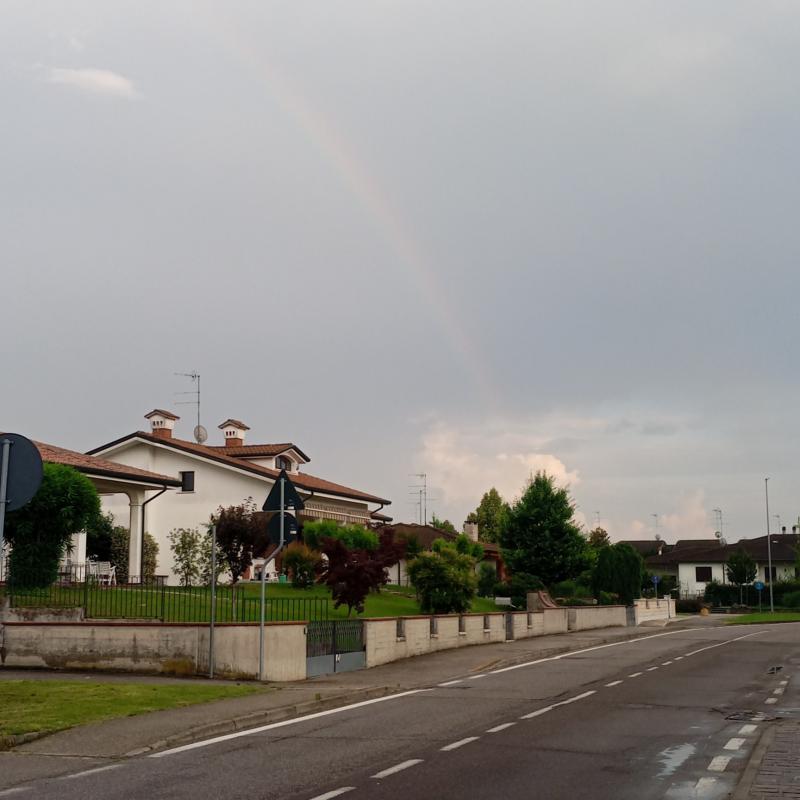 Fotosegnalazione di Virgilio