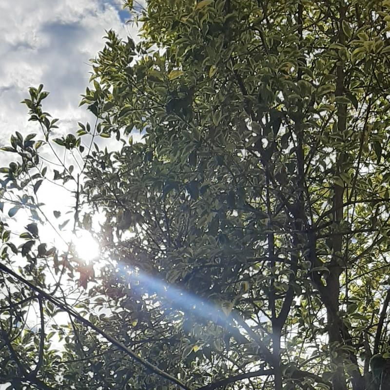 Fotosegnalazione di Roccagorga