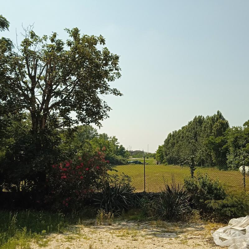 Fotosegnalazione di Gambara