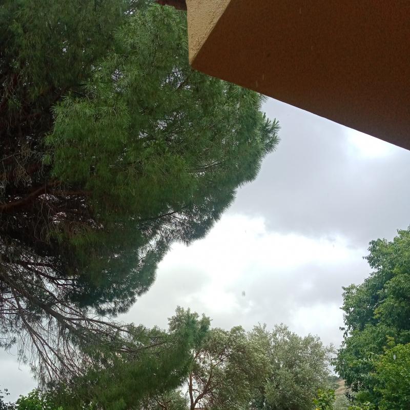 Fotosegnalazione di Palermo resuttana - san lorenzo