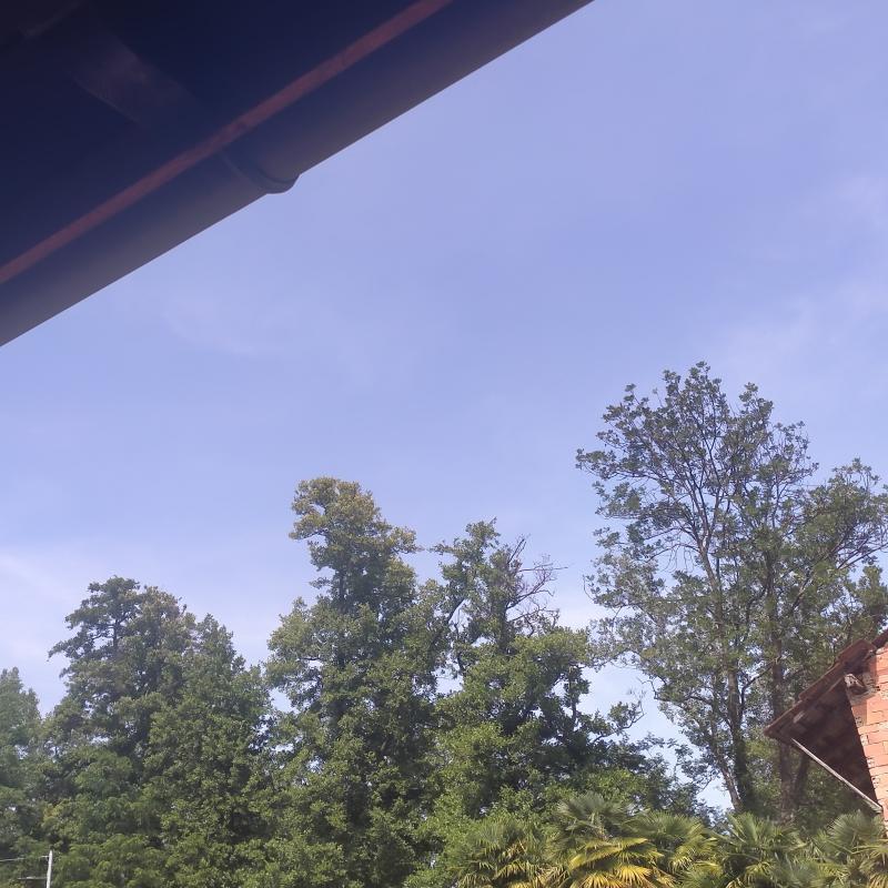 Fotosegnalazione di Verbania centro urbano