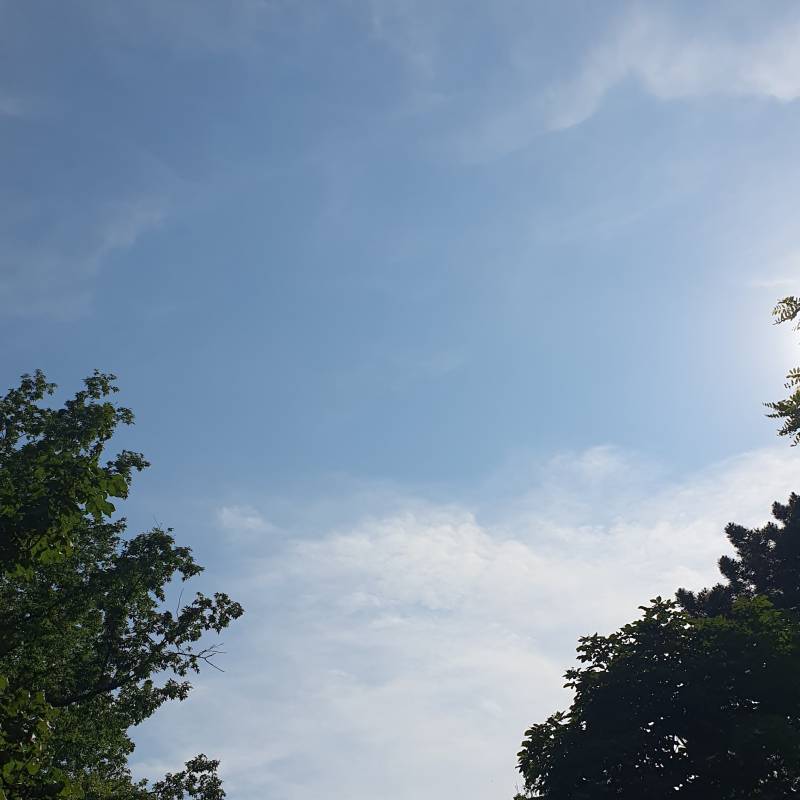 Fotosegnalazione di Marliana