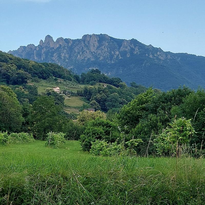 Denti della vecchia
