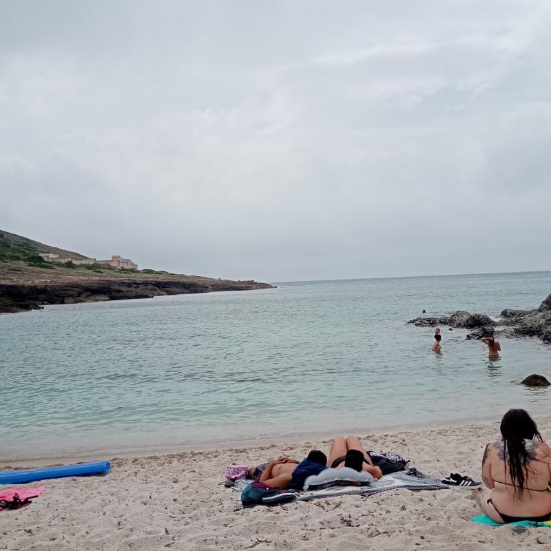 Fotosegnalazione di Sassari palmadula - litorale ovest