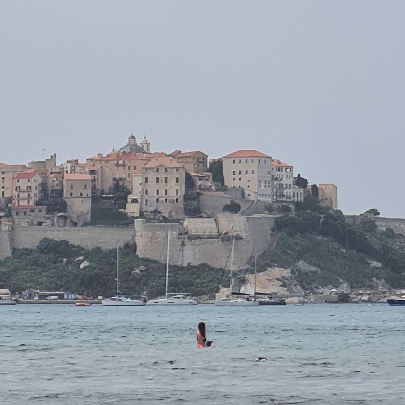Fotosegnalazione di Calvi