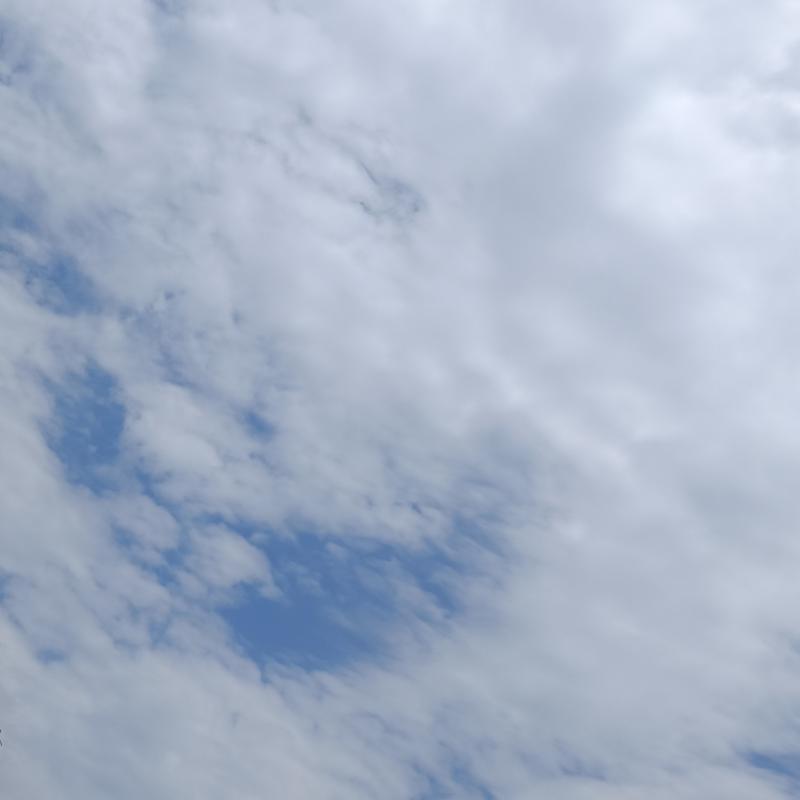 Fotosegnalazione di Potenza picena