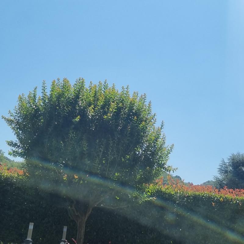 Fotosegnalazione di Ponteranica