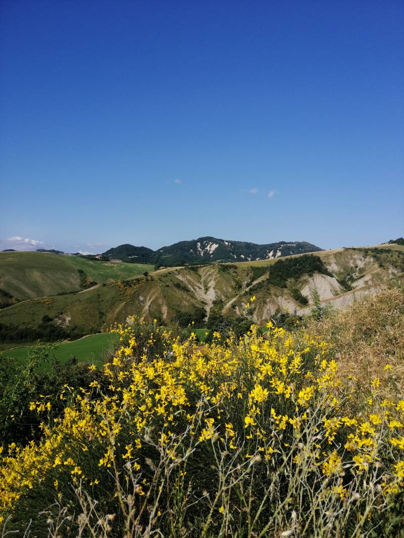 le belle colline di Castel San Pietro Terme.