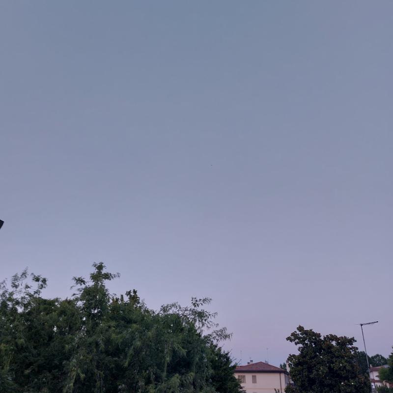 Fotosegnalazione di Venezia favaro veneto