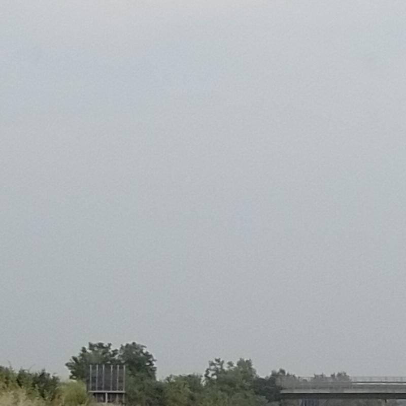 Fotosegnalazione di Mesero