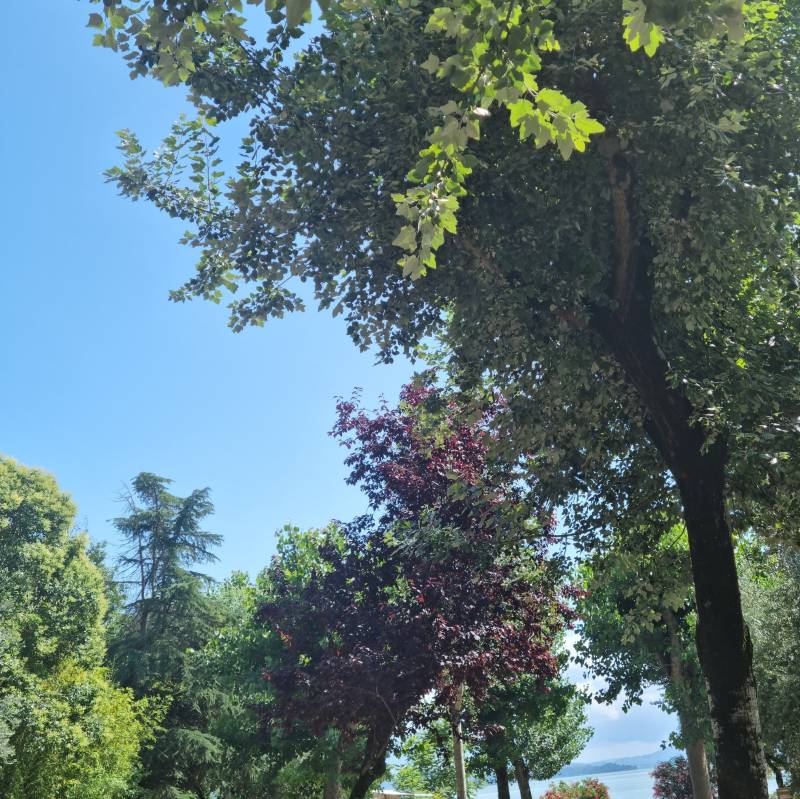 Passignano sul trasimeno le nuvole non ci sono