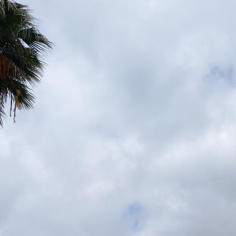 Fotosegnalazione di Marina di bibbona