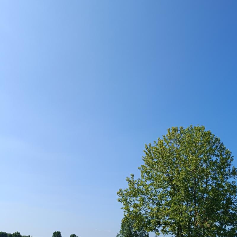 Fotosegnalazione di Gambarana