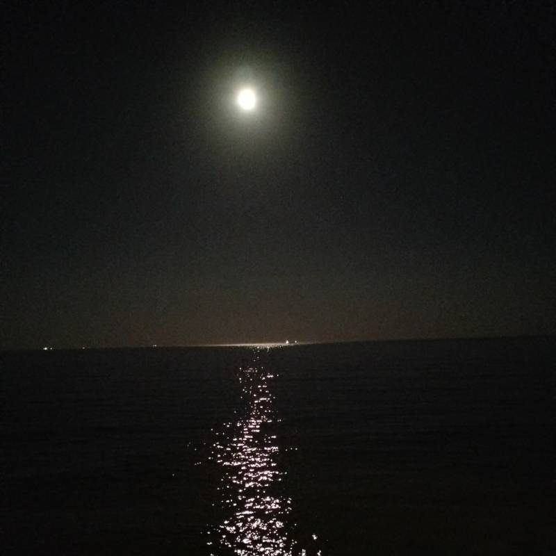 Fotosegnalazione di Pozzallo
