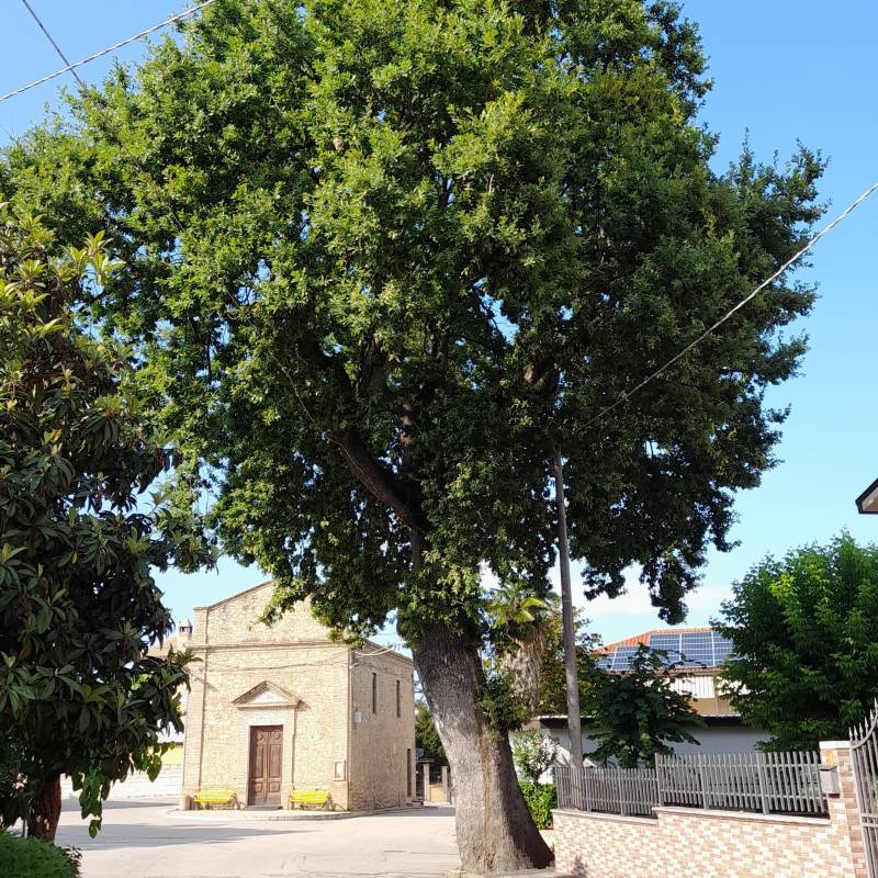 Tempo bello a villa consalvi