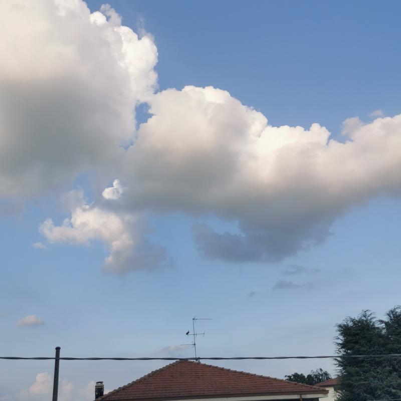 Fotosegnalazione di Bonate sotto