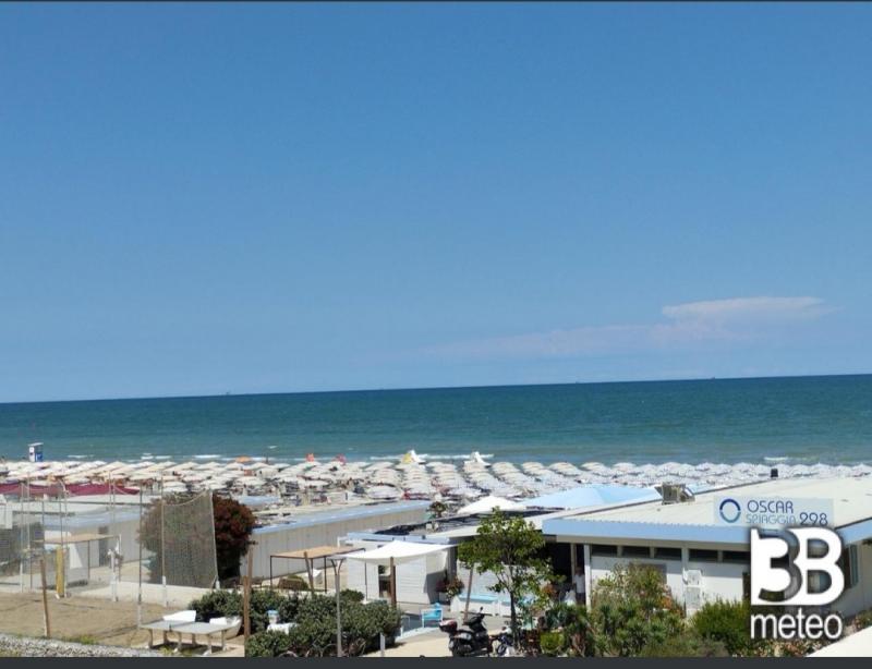 ho sbagliato spiaggia oscar 298 scusate