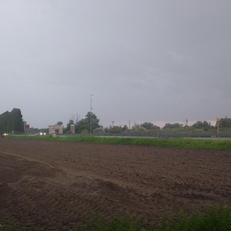 Fotosegnalazione di Rosolina