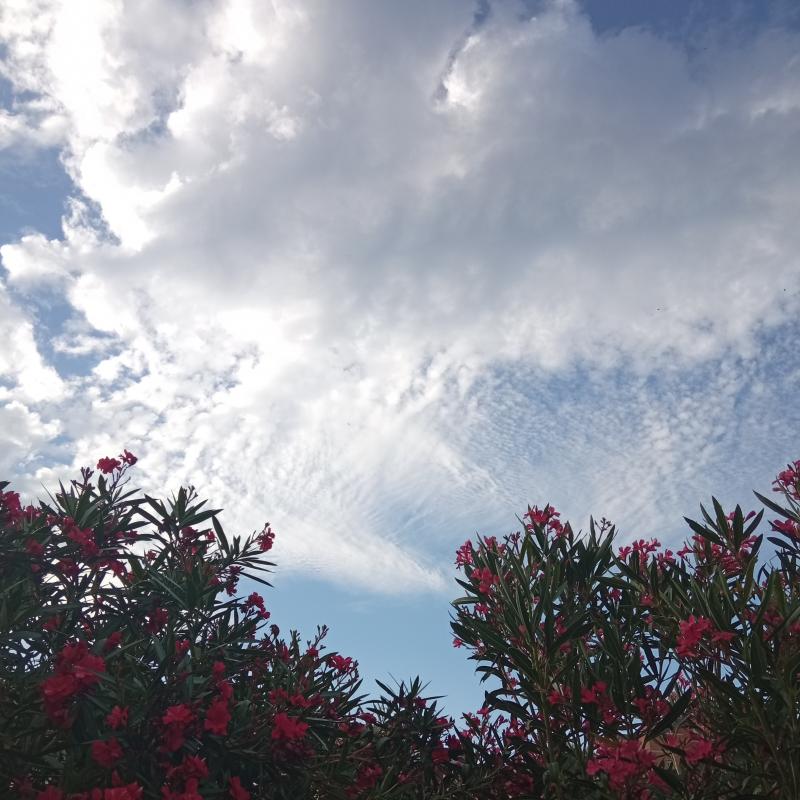 Fotosegnalazione di Palombara sabina