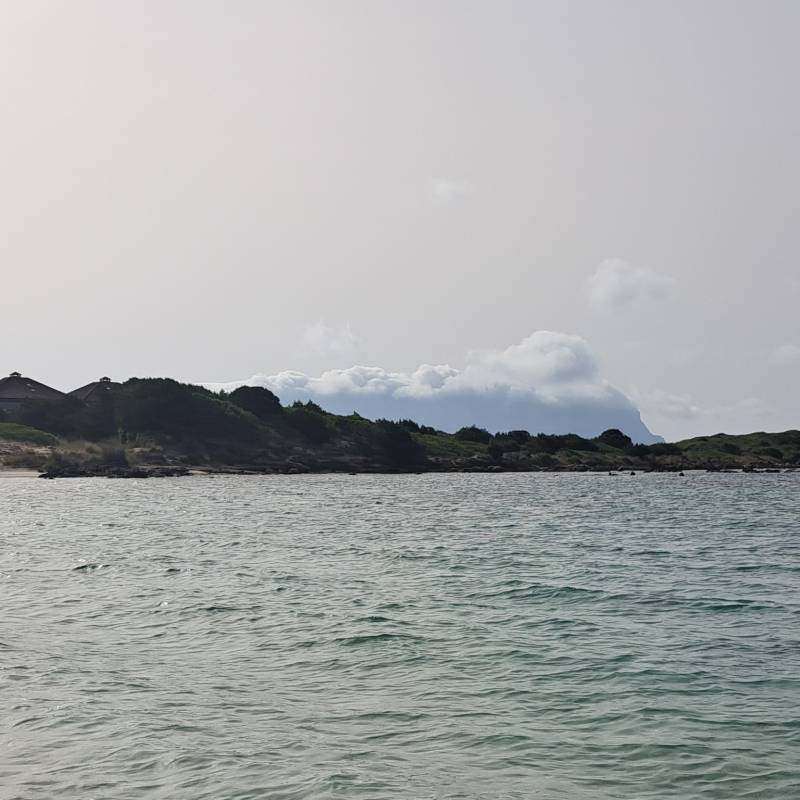 Fotosegnalazione di Golfo aranci