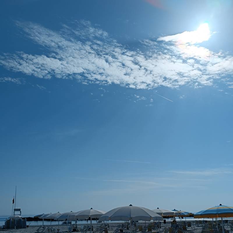 Fotosegnalazione di Bellaria igea marina