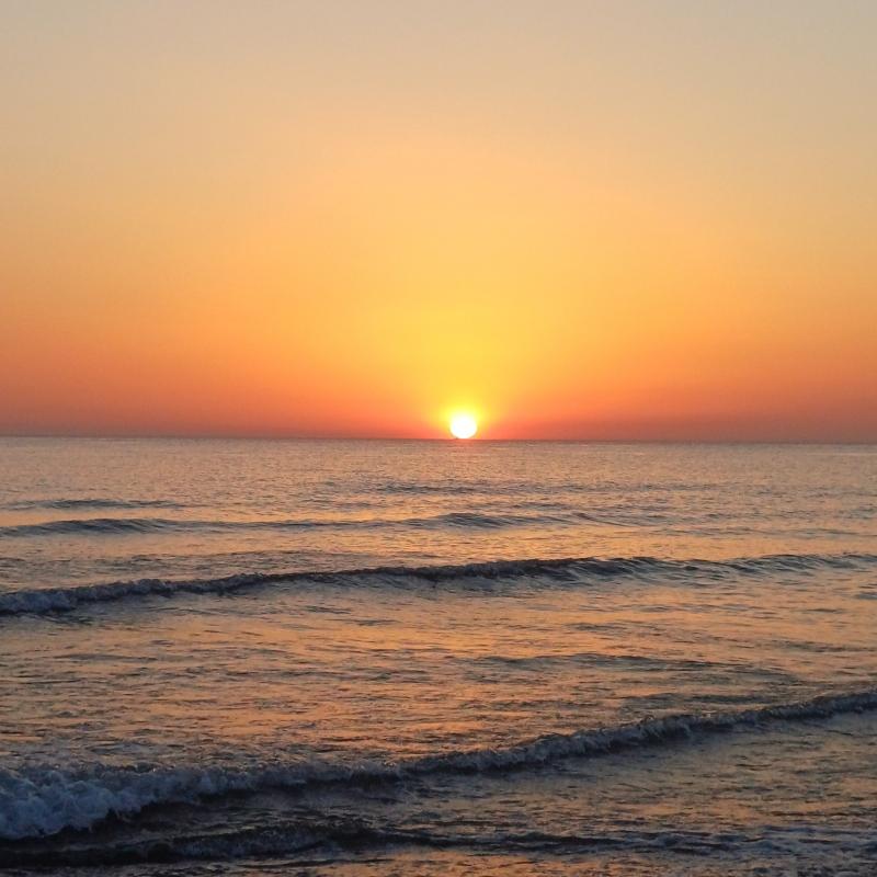 Fotosegnalazione di San vincenzo