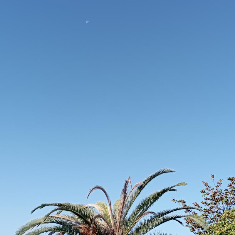 Fotosegnalazione di Lido di camaiore