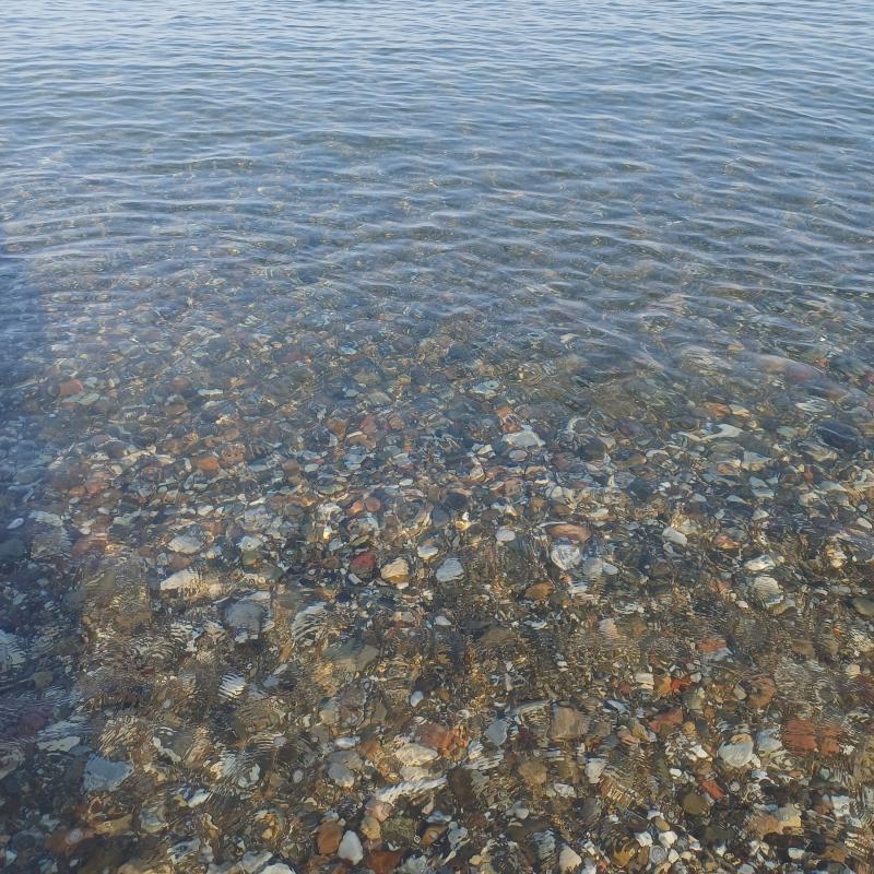Fotosegnalazione di San vincenzo