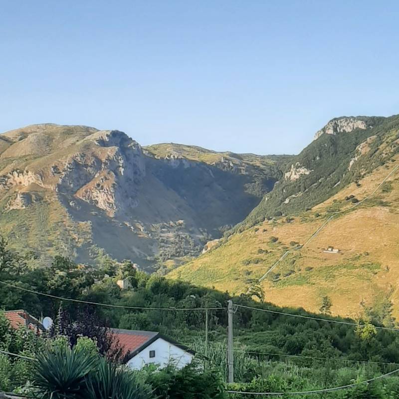 Fotosegnalazione di Papasidero