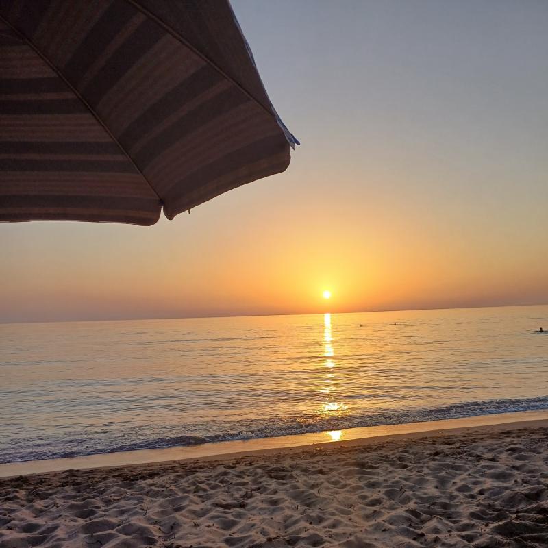 Fotosegnalazione di San vincenzo