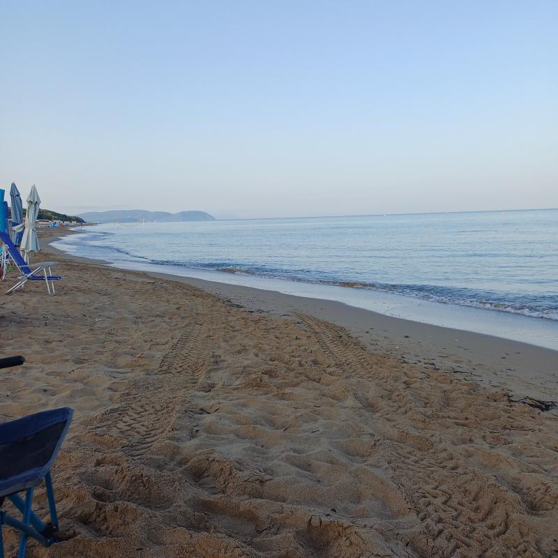 Fotosegnalazione di San vincenzo
