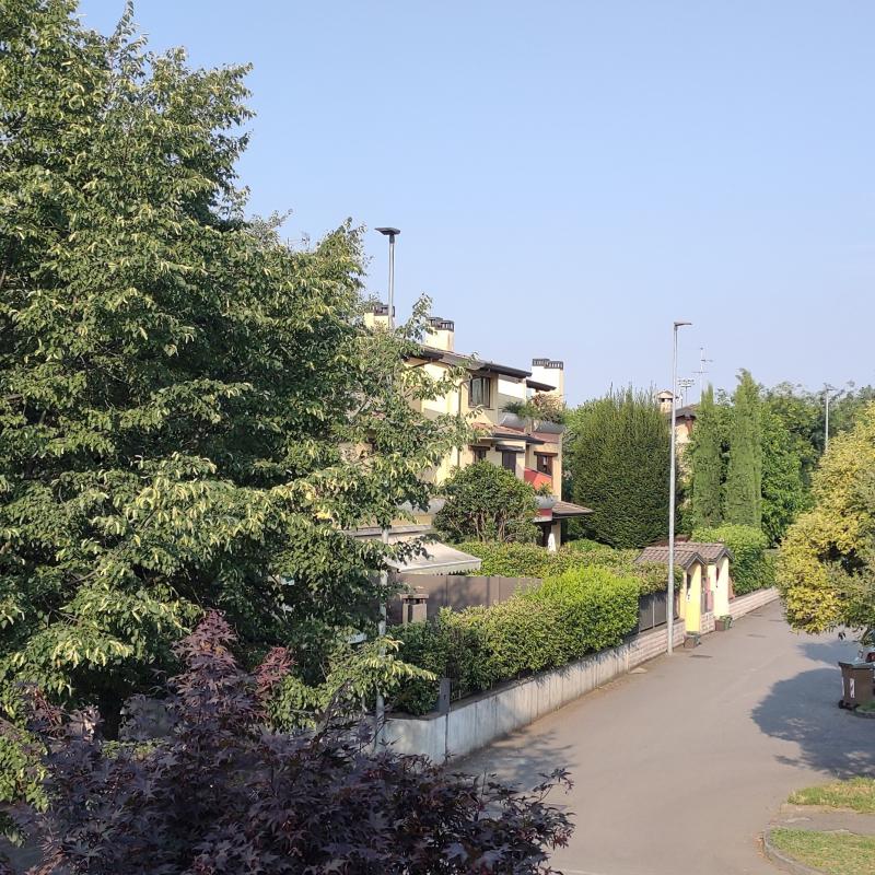 Fotosegnalazione di Palazzolo sull'oglio