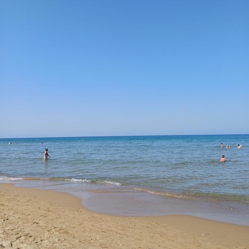 Fotosegnalazione di San vincenzo
