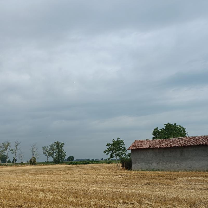 Fotosegnalazione di Gambarana