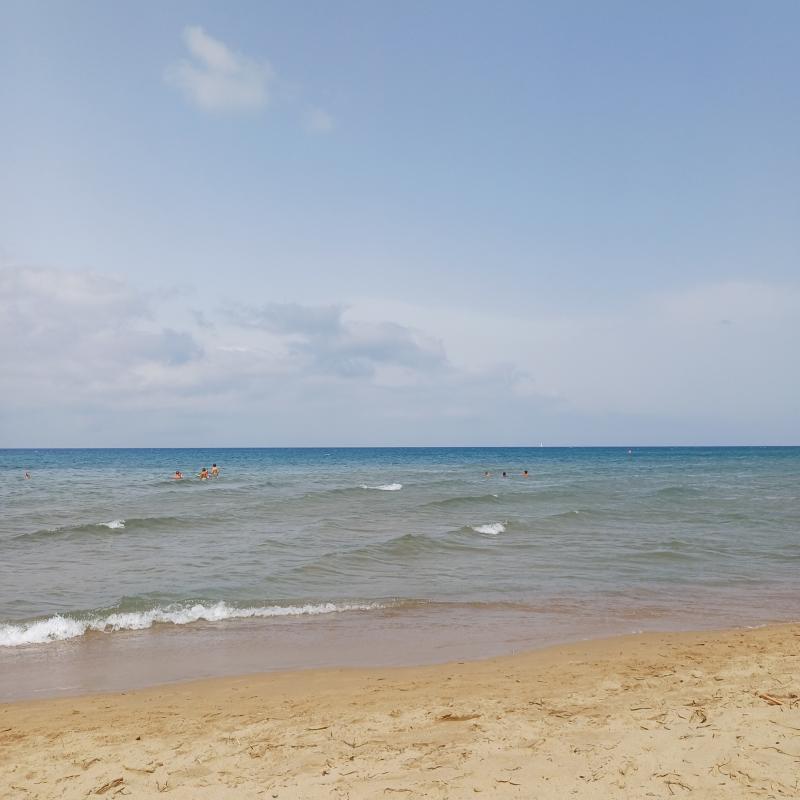 Fotosegnalazione di San vincenzo