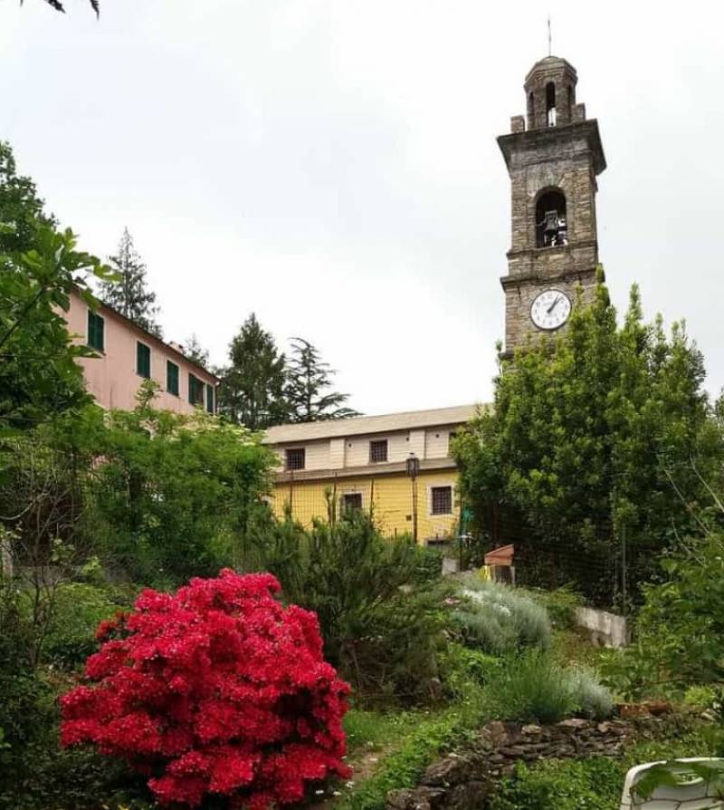 santuario nostra signora del bosco