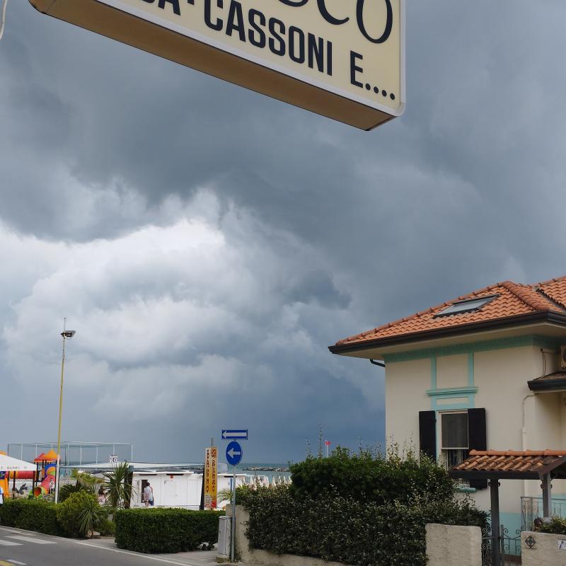 Igea marina