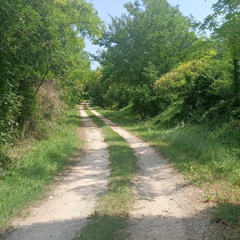 Fotosegnalazione di Susegana