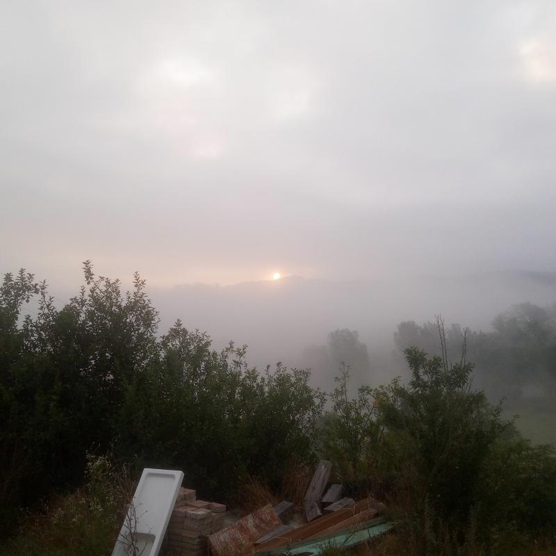 Fotosegnalazione di Mioglia