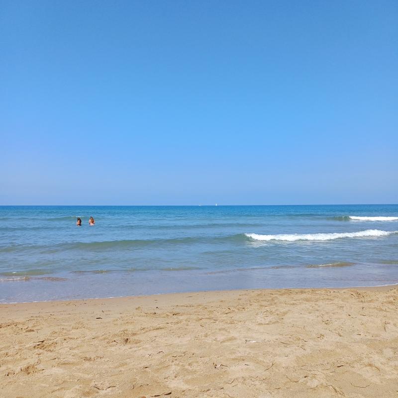 Fotosegnalazione di San vincenzo